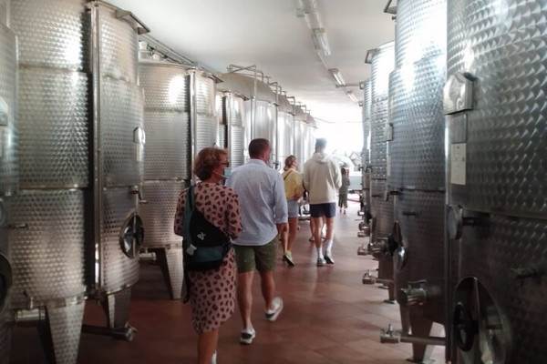 visit to winery