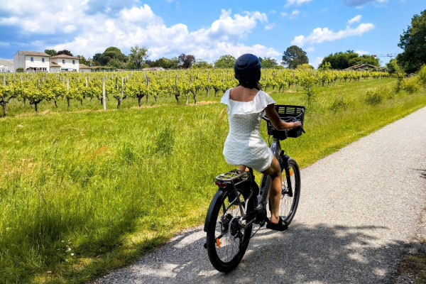 Panoramic view of vineyards during an e-bike tour from Bordeaux.