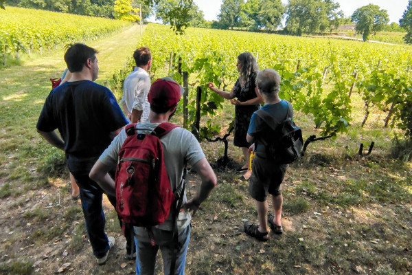 Wine tasting experience included in the e-bike tour to Saint-Émilion.