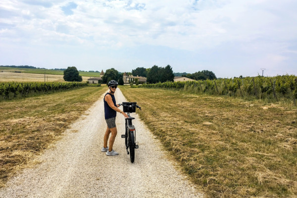 Panoramic view of vineyards during an e-bike tour from Bordeaux.