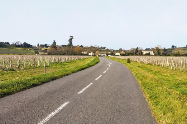 Panoramic view of vineyards during an e-bike tour from Bordeaux.