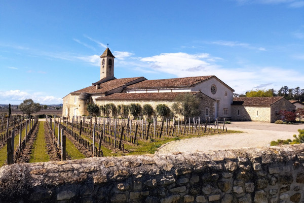 Panoramic view of vineyards during an e-bike tour from Bordeaux.