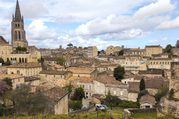 Panoramic view of vineyards during an e-bike tour from Bordeaux.