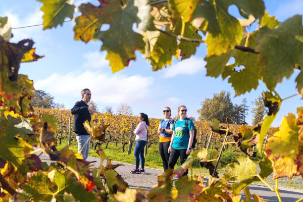 Discovering local vineyards during a Bordeaux gravel bike ride.
