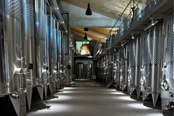 wine tour from Saint Tropez