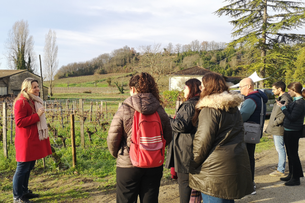 Wine tour Saint-Emilion Vert Bordeaux organic winery