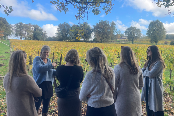 Wine tour Saint-Emilion Vert Bordeaux organic winery