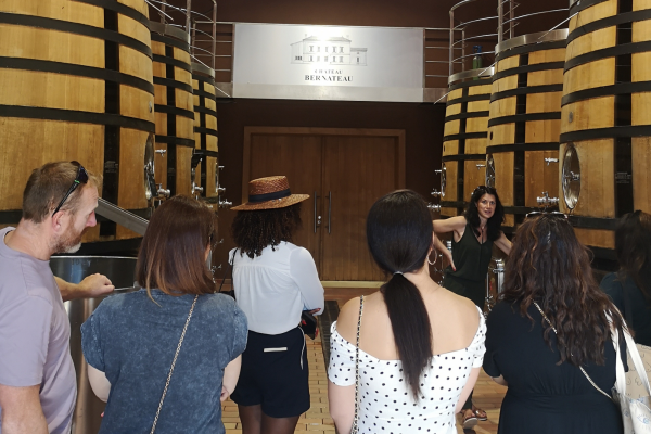 Wine tour Saint-Emilion Vert Bordeaux organic winery