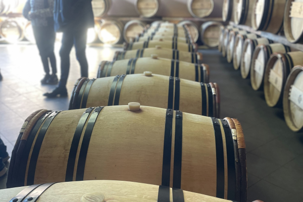 Wine tour Saint-Emilion Vert Bordeaux organic winery