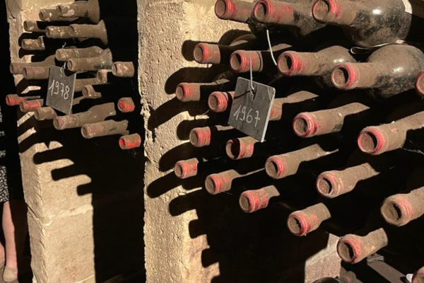 Wine tour Saint-Emilion Vert Bordeaux organic winery
