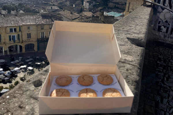 Wine tour Saint-Emilion Vert Bordeaux macarons
