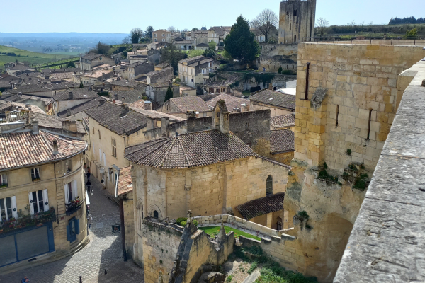Wine tour Saint-Emilion Vert Bordeaux macarons