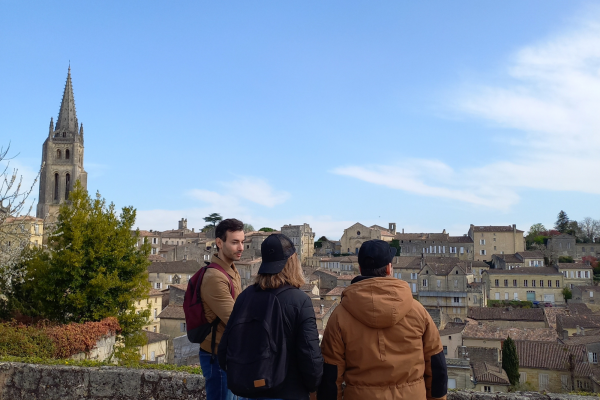 Wine tour Saint-Emilion Vert Bordeaux panoramic view