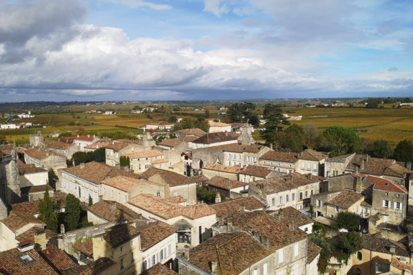 Wine tour Saint-Emilion Vert Bordeaux panoramic view