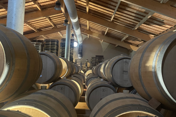 Saint-Emilion & Pomerol Wine Tour winery