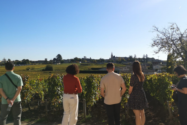 Saint-Emilion & Pomerol Wine Tour wine Grand Cru Classé