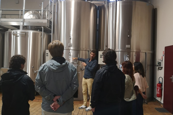 Saint-Emilion & Pomerol Wine Tour wine Grand Cru Classé