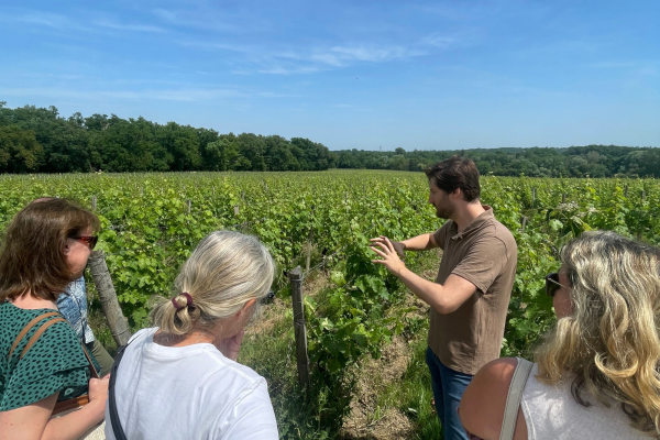 Bordeaux Wine Tour Vert Bordeaux off the beaten path Entre-deux-Mers