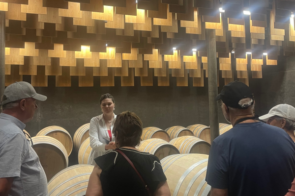 Bordeaux Wine Tour Vert Bordeaux off the beaten path Pessac-Léognan Graves