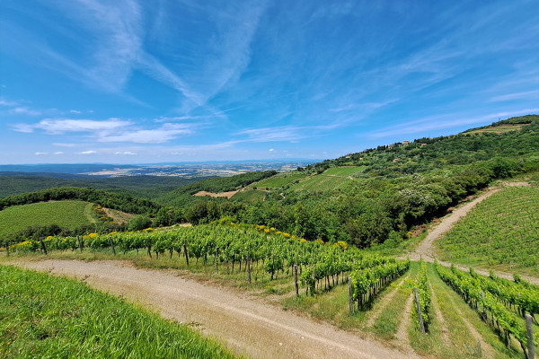 Chianti Views