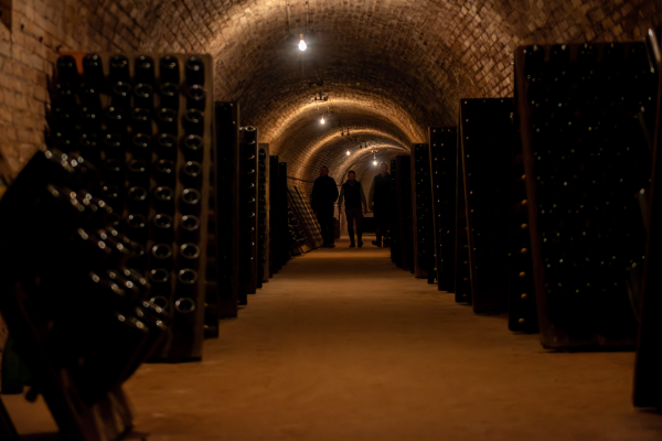 Visite de caves