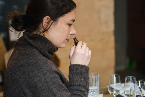 Explore the diversity of the wines of Bordeaux