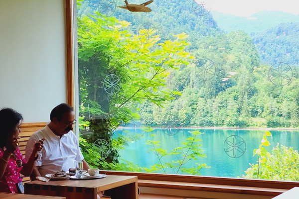 View from Bled Island