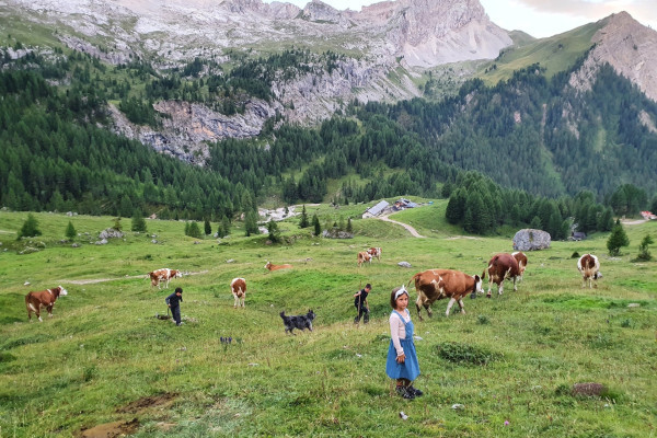 Archivio fotografico ApT Val di Fassa