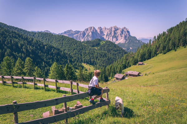 Albe in Malga Archivio fotografico  Azienda per il Turismo Val di Fassa