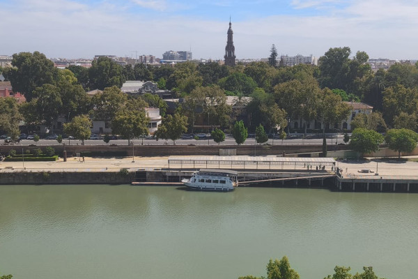 Guadalquivir river cruise in Seville with unique views of the city skyline.