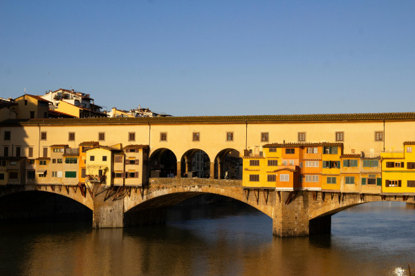 The Godfather of the Renaissance