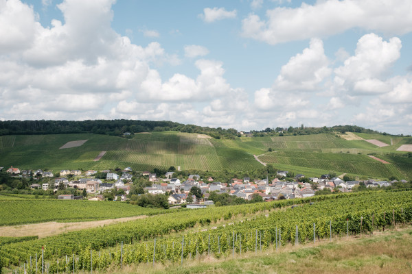 Wellenstein and its vineyards
(c) Pancake! Photography
