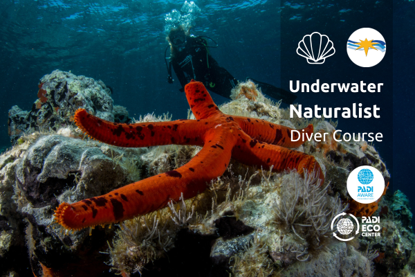 PADI Underwater Naturalist Diver Course