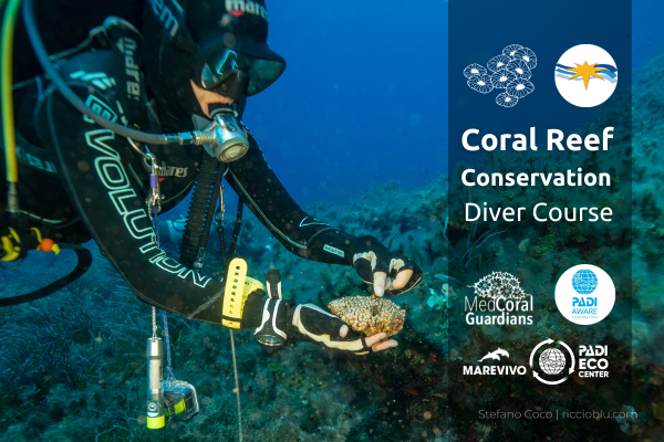 PADI AWARE Coral Conservation Course