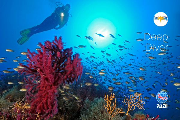 PADI Adventure Deep Dive 