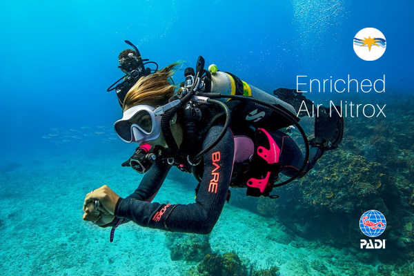 PADI Adventure Nitrox Dive