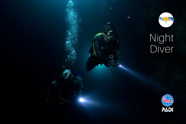 PADI Adventure Night Dive