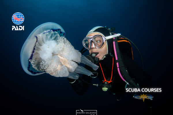 PADI Adventure Underwater Naturalist Dive 