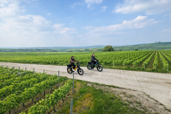 The true experience through vineyards