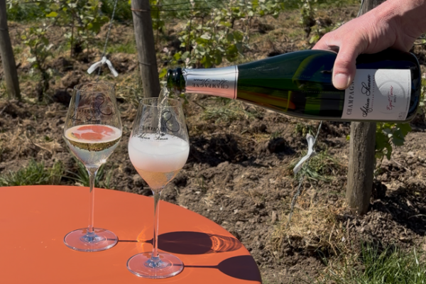Champagne tasting