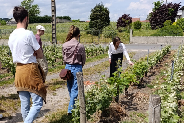 Vineyard tour