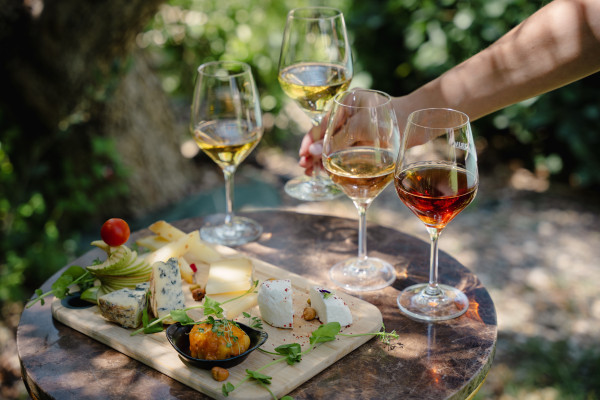 Wine & cheese pairing workshop