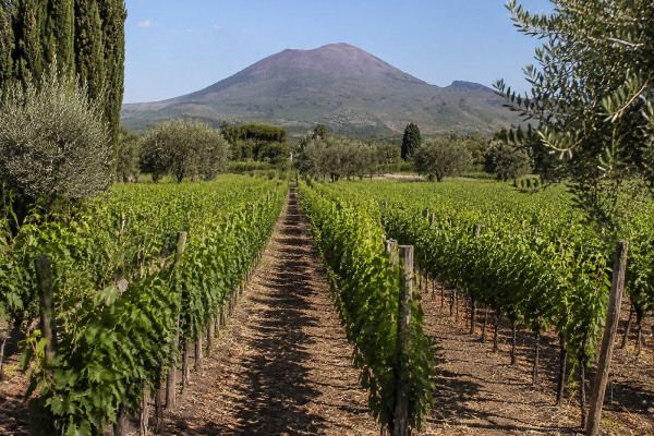 Pompeii and Vesuvius Excursion from Salerno

