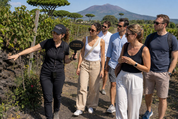 Vesuvius Winery: Tour, Lunch, and Tasting
