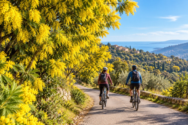 Illustrative AI-generated visual inspired by existing mimosa landscape photographs; not a documentary photograph of this tour.