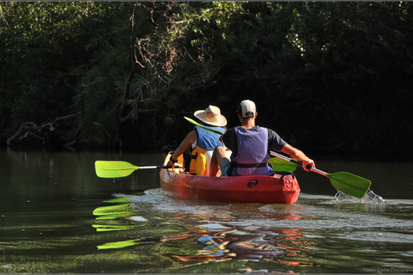 Canoe Kayak rental - Roquebrune sur Argens - Var