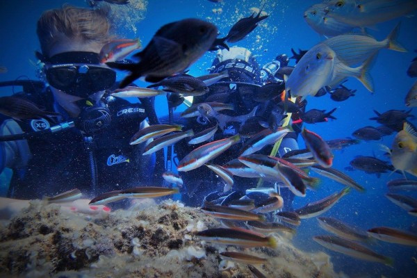 First Scuba diving experience - Les Issambres
