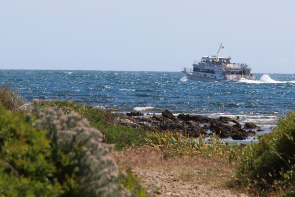 Horizon - Shuttle to Ile de Sainte-Marguerite