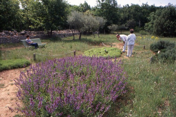 The studio of fragrances