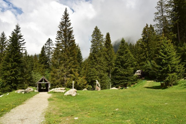 Parcs des Loups